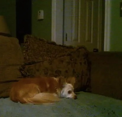 I don't see you hanging around, I'm goin' home