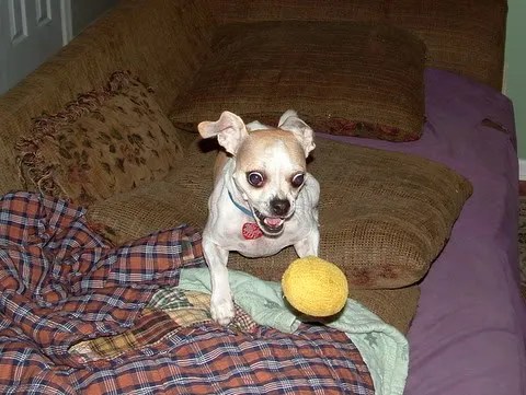 There's Always Time for Ball