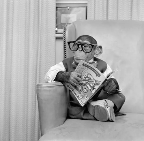 I know that Saturday's got what it takes, babe