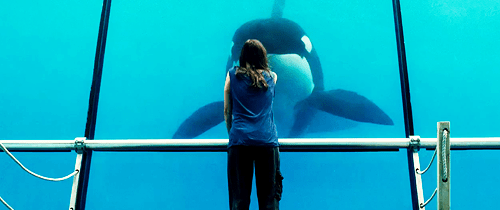 Love like lightning, shaking till it moans