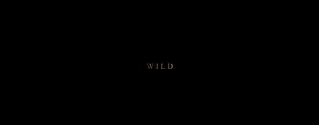10 wild