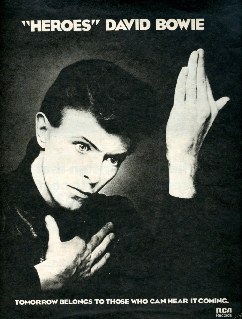 bowie