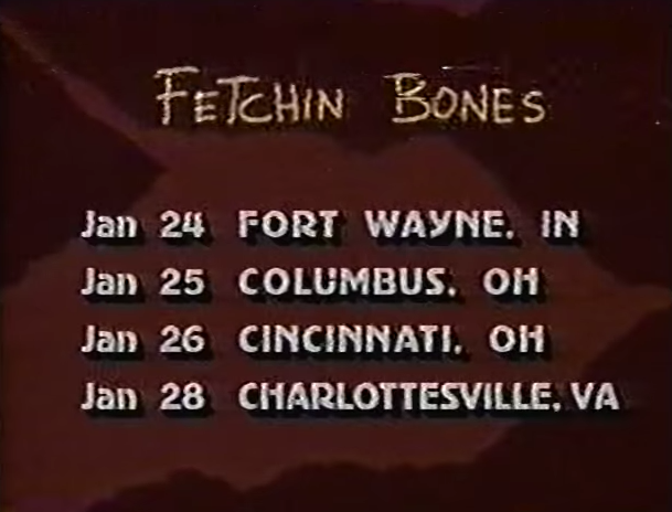 One for Friday: Fetchin Bones, "Stray"