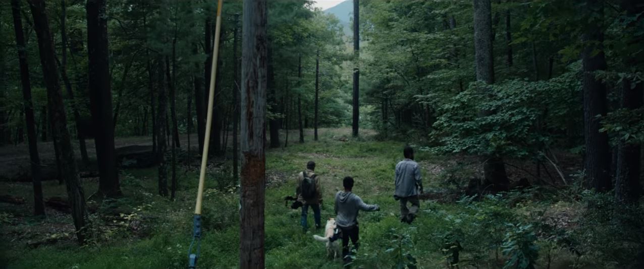 Now Playing: It Comes at Night