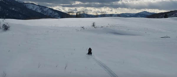 Playing Catch-Up — Wind River; Ship of Fools; Demolition