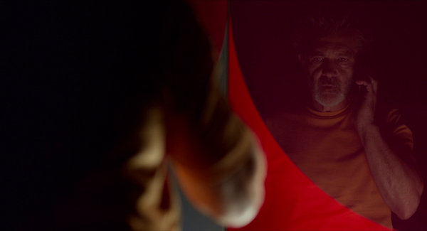 Then Playing — Bombshell; Harriet; Pain and Glory