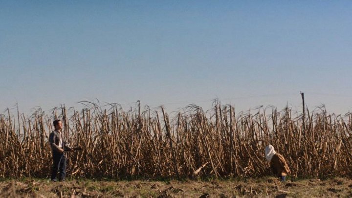 Top Fifty Films of the 10s — Number Thirty-Two