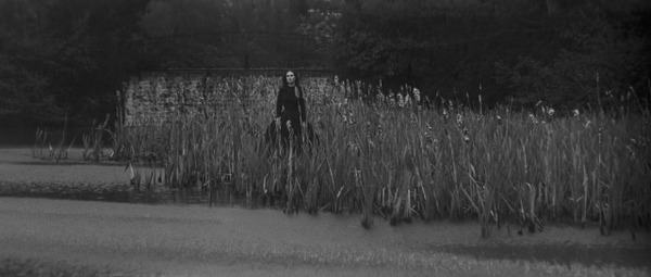 Then Playing — The Innocents; Marshall; Things to Come