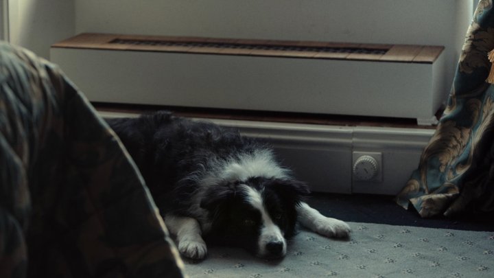 Top Fifty Films of the 10s — Number Twenty
