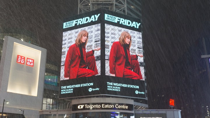 The New Releases Shelf — Ignorance