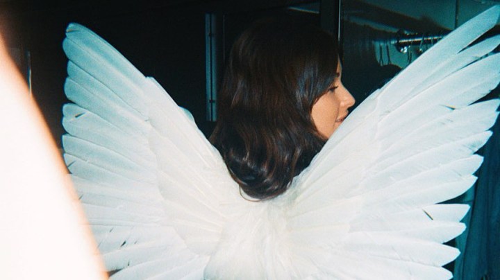 The New Releases Shelf — Star-Crossed