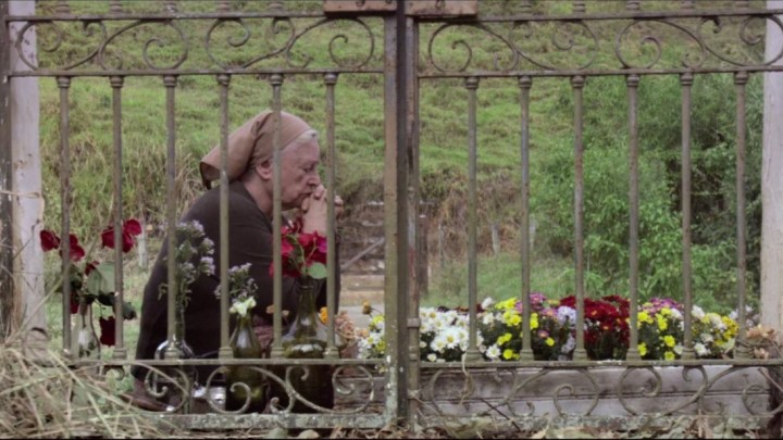 Then Playing — Salaam Bombay!; Found Memories; Along Came Jones