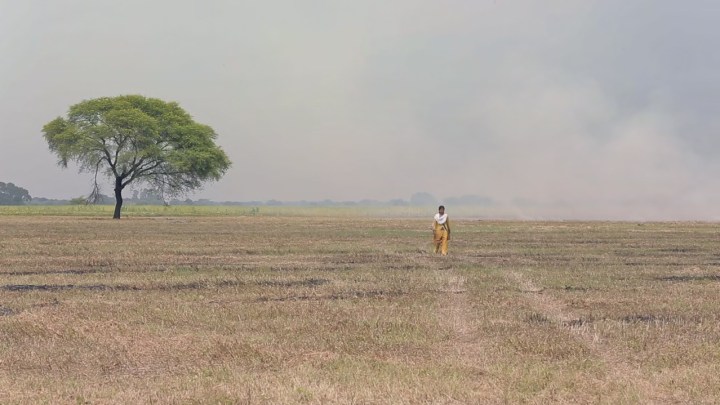 Top Ten Movies of 2021 — Number Seven