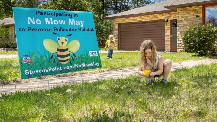 Outside Reading — Flight of the Bumblebee edition