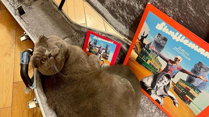 Medium Rotation — I Walked With You a Ways; Shufflemania!