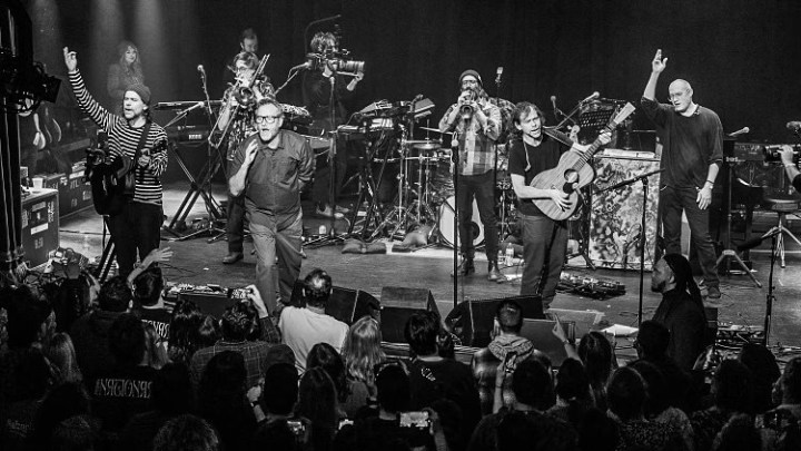 This Week's Model — The National, "Eucalyptus"