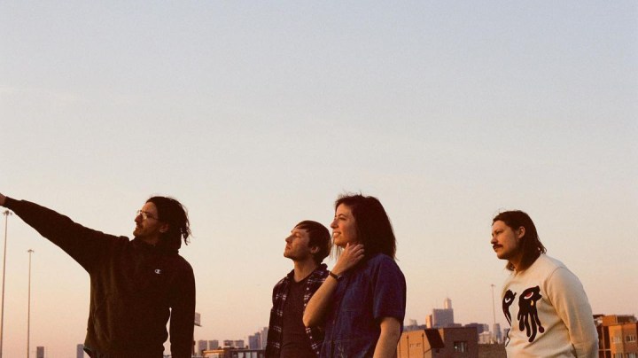 The New Releases Shelf — The Window