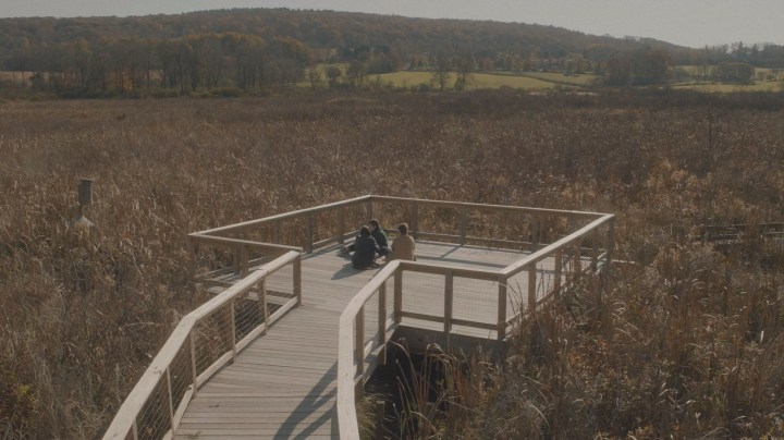 Then Playing — The Adults; The Cheap Detective; Thief