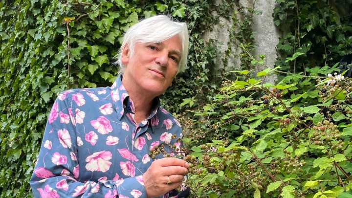 This Week's Model — Robyn Hitchcock, "Itchycoo Park"