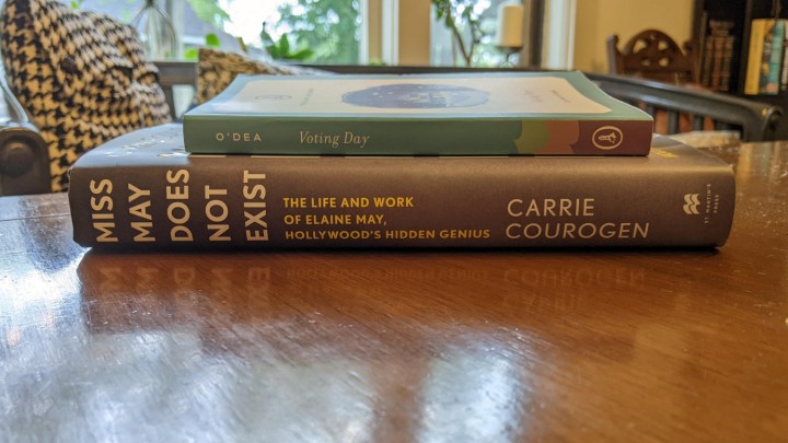 Book Report — Voting Day; Miss May Does Not Exist