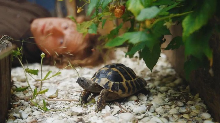 This Week's Model — Trust Fund, "Leaving the Party Early"