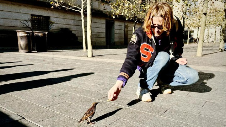 Medium Rotation — I Wanna Run Barefoot Through Your Hair; Patterns in Repeat