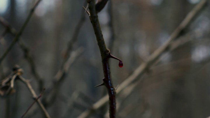 Top Ten Movies of 2024 — Number Ten