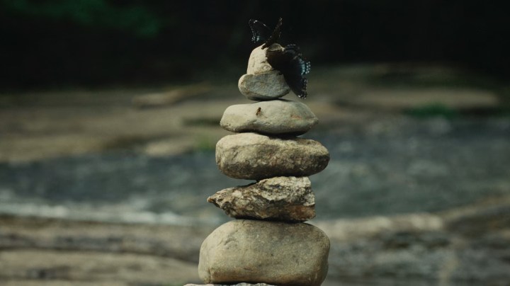 Top Ten Movies of 2024 — Number Three