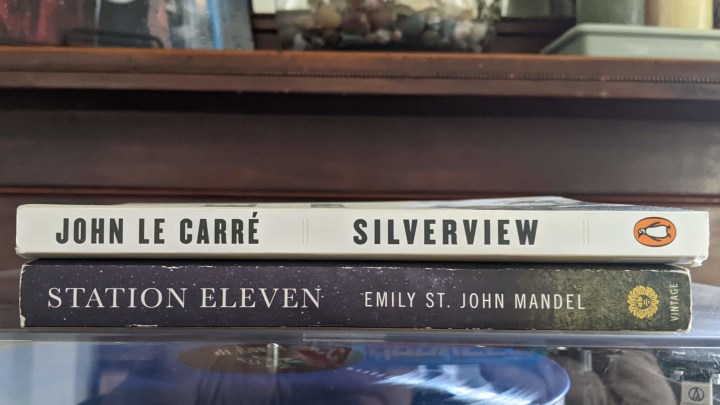 Book Report — Silverview; Station Eleven