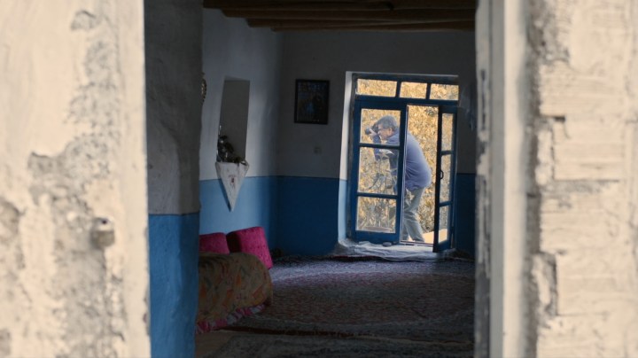 Then Playing — No Bears; The Mastermind; The Endless Summer